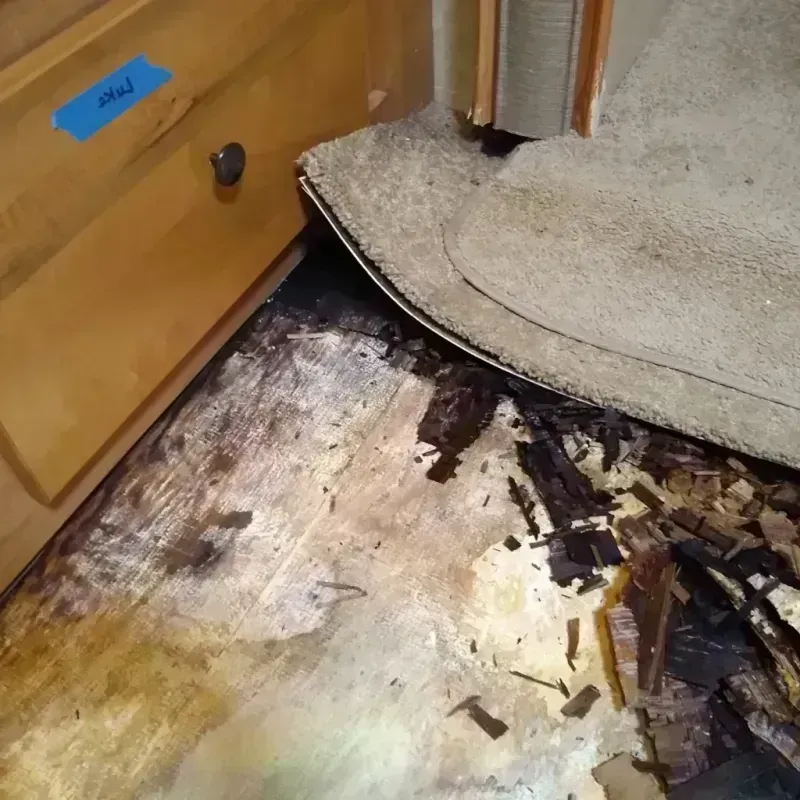 Wood Floor Water Damage in Holmen, WI